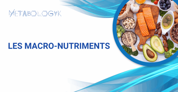 Les Macro-nutriments formation coach metabologyk