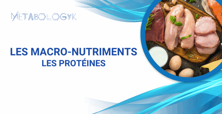 Les Protéines formation metabologyk