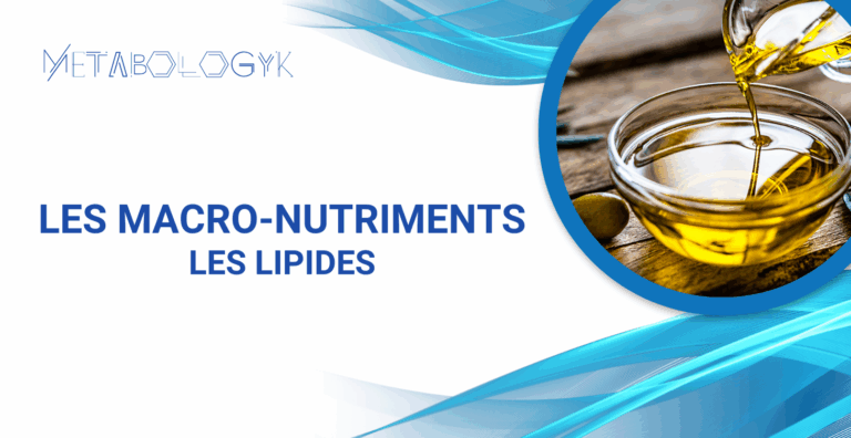 Module 2.2 : Les Lipides