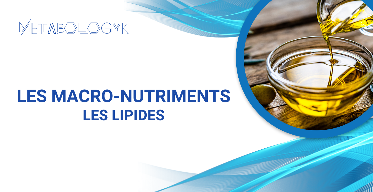 Module 2.2 : Les Lipides