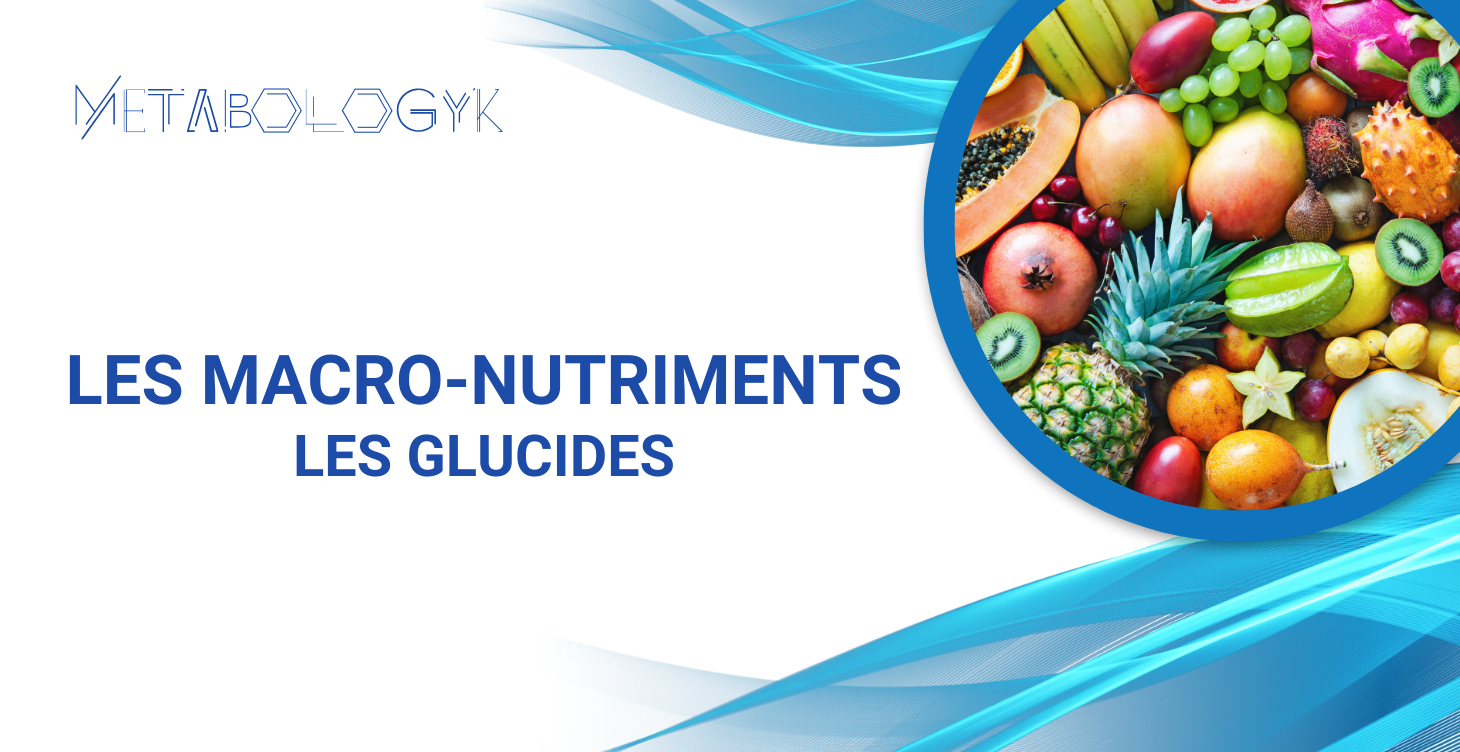 Module 2.3 : Les Glucides