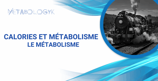 formation Le Métabolisme metabologyk