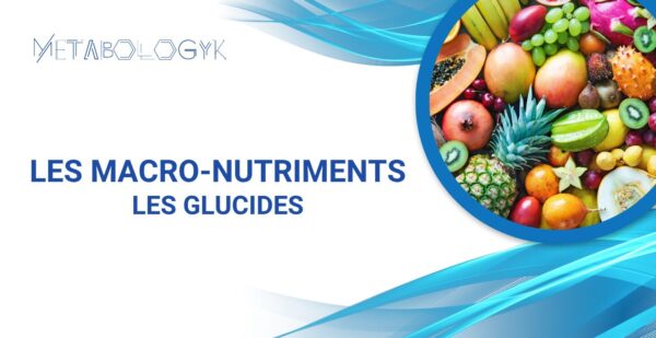Les Glucides