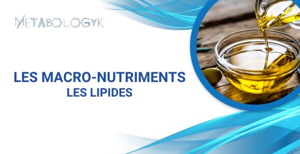 lipides metabologk formation